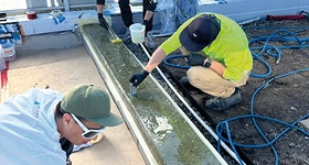 Membrane repair work